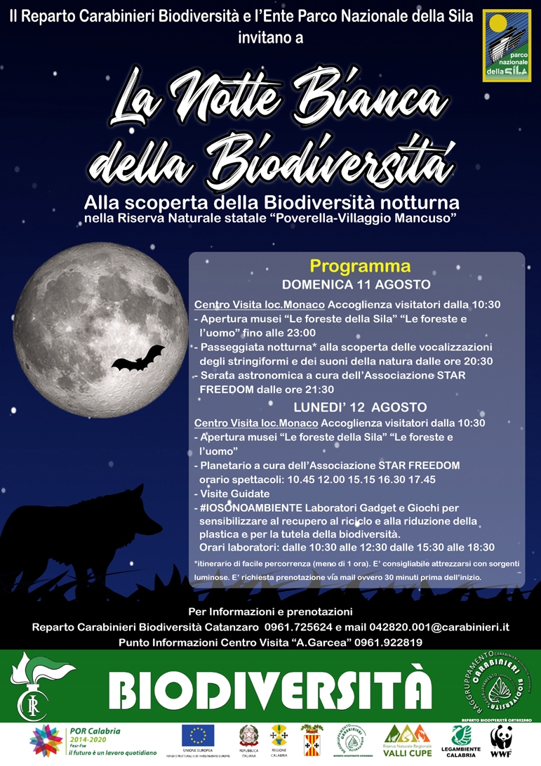 notte bianca 2019 web